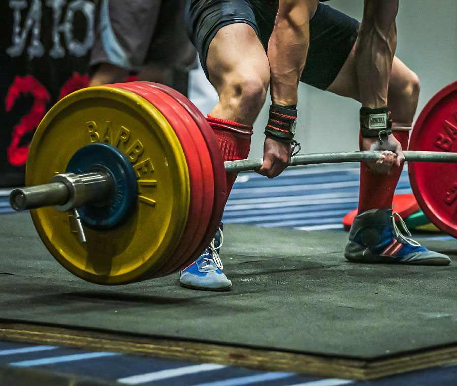 Allenamento di forza